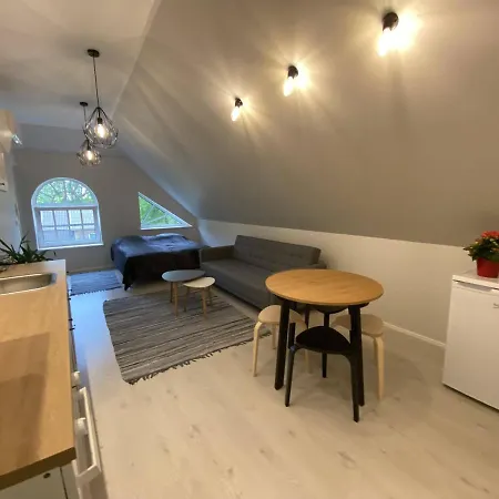 Captain's House - Kaptenimaja - شقة Kärdla
