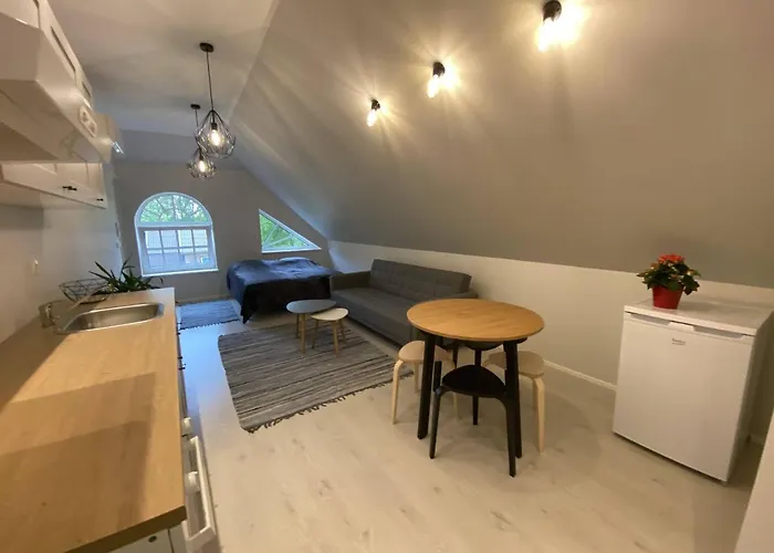 Captain's House - Kaptenimaja - شقة Kärdla