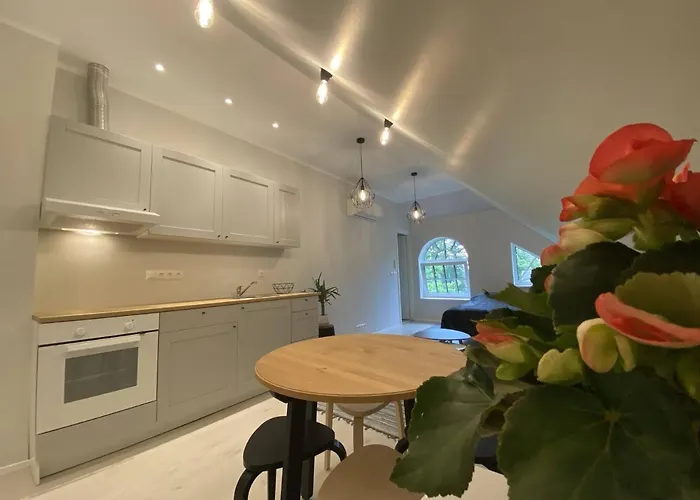 Captain's House - Kaptenimaja - شقة Kärdla