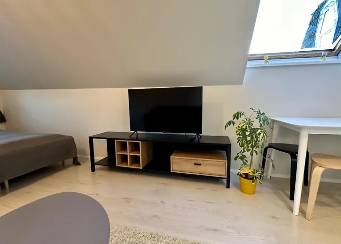 Captain's House - Kaptenimaja - شقة Kärdla